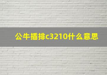 公牛插排c3210什么意思