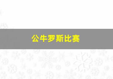 公牛罗斯比赛