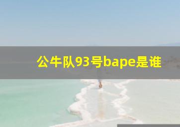 公牛队93号bape是谁