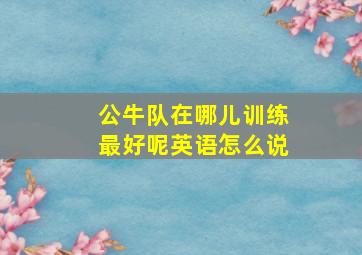 公牛队在哪儿训练最好呢英语怎么说