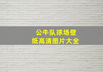 公牛队球场壁纸高清图片大全