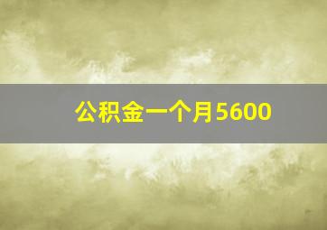 公积金一个月5600