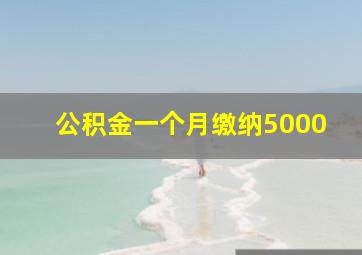 公积金一个月缴纳5000