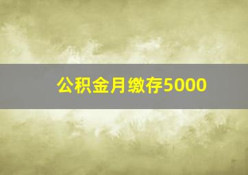 公积金月缴存5000