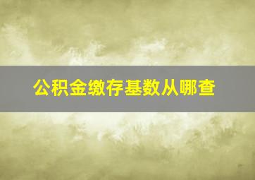 公积金缴存基数从哪查