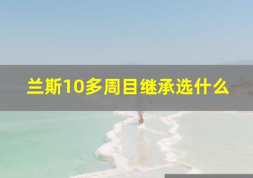 兰斯10多周目继承选什么