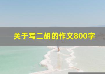 关于写二胡的作文800字