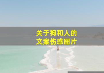 关于狗和人的文案伤感图片