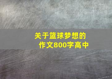 关于篮球梦想的作文800字高中