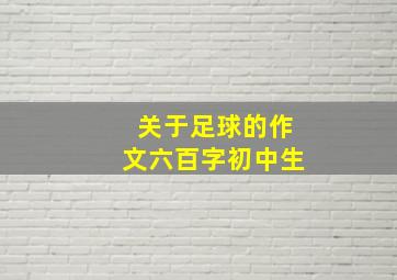 关于足球的作文六百字初中生