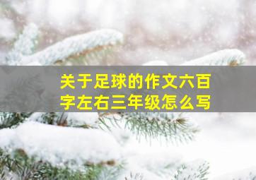 关于足球的作文六百字左右三年级怎么写