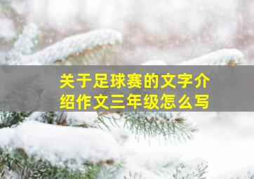 关于足球赛的文字介绍作文三年级怎么写