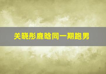 关晓彤鹿晗同一期跑男