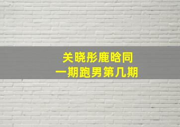 关晓彤鹿晗同一期跑男第几期