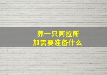 养一只阿拉斯加需要准备什么