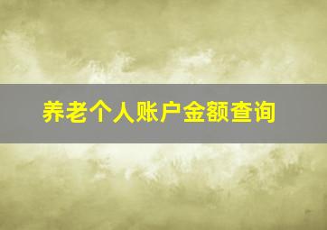 养老个人账户金额查询