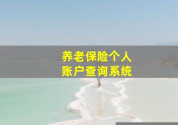 养老保险个人账户查询系统