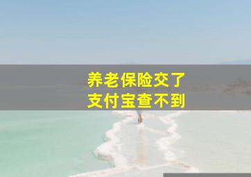 养老保险交了支付宝查不到