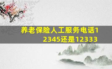 养老保险人工服务电话12345还是12333