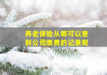 养老保险从哪可以查到公司缴费的记录呢