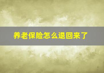 养老保险怎么退回来了