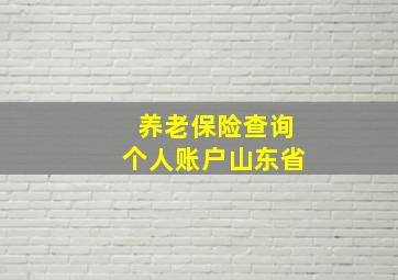 养老保险查询个人账户山东省