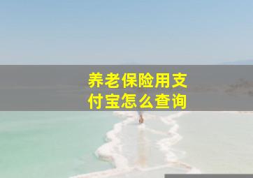 养老保险用支付宝怎么查询