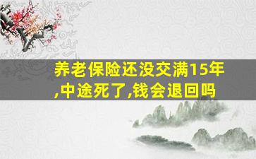 养老保险还没交满15年,中途死了,钱会退回吗