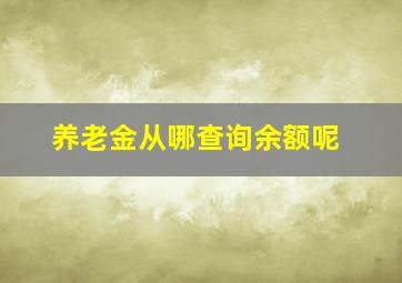 养老金从哪查询余额呢