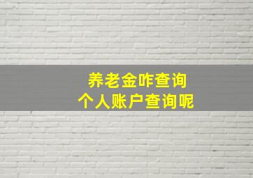 养老金咋查询个人账户查询呢