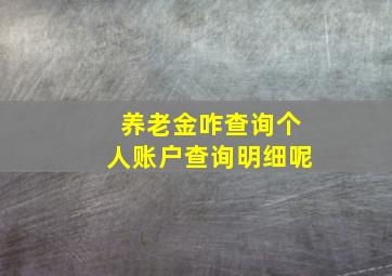 养老金咋查询个人账户查询明细呢