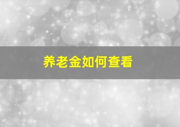 养老金如何查看