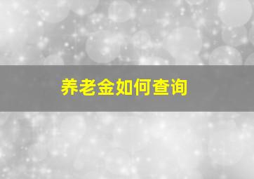 养老金如何查询