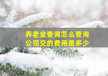 养老金查询怎么查询公司交的费用是多少