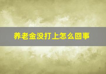 养老金没打上怎么回事