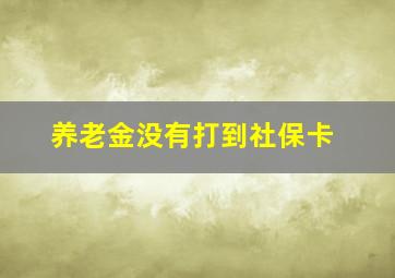 养老金没有打到社保卡