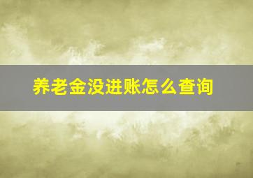 养老金没进账怎么查询