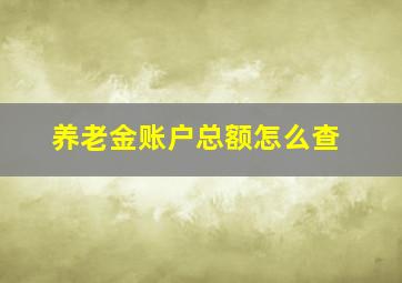 养老金账户总额怎么查