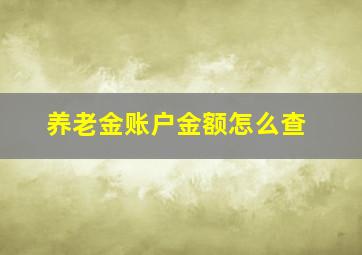 养老金账户金额怎么查