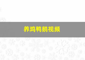 养鸡鸭鹅视频