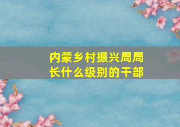 内蒙乡村振兴局局长什么级别的干部