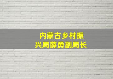 内蒙古乡村振兴局薛勇副局长