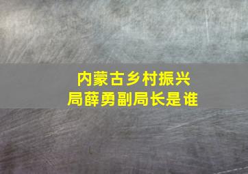 内蒙古乡村振兴局薛勇副局长是谁