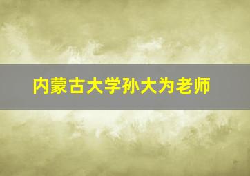 内蒙古大学孙大为老师