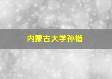 内蒙古大学孙锴