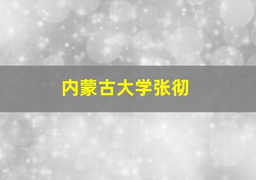 内蒙古大学张彻