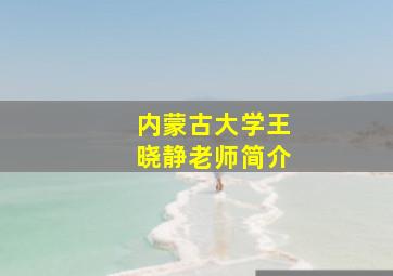 内蒙古大学王晓静老师简介