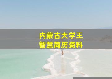 内蒙古大学王智慧简历资料