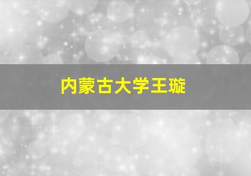 内蒙古大学王璇