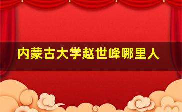 内蒙古大学赵世峰哪里人